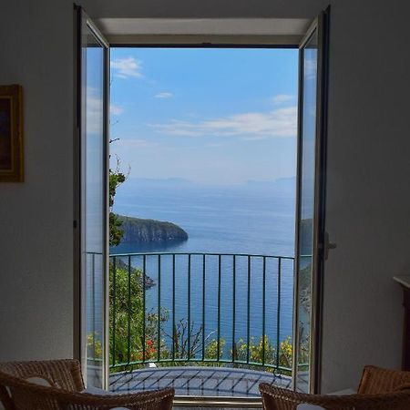 Il Giardino Selvatico Di Succellario - Apartments Barano d'Ischia Luaran gambar