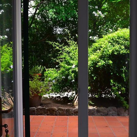 Il Giardino Selvatico Di Succellario - Apartments Barano d'Ischia Luaran gambar