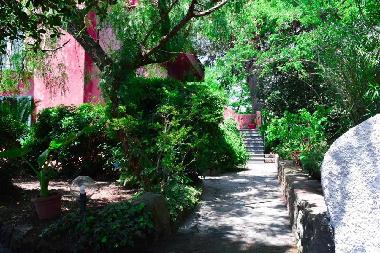 Il Giardino Selvatico Di Succellario - Apartments Barano d'Ischia Luaran gambar