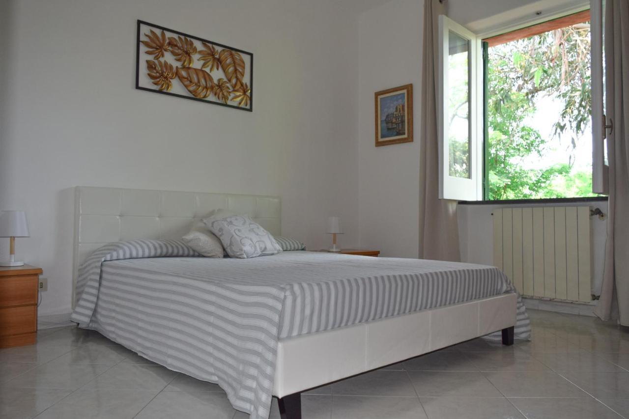 Il Giardino Selvatico Di Succellario - Apartments Barano d'Ischia Luaran gambar