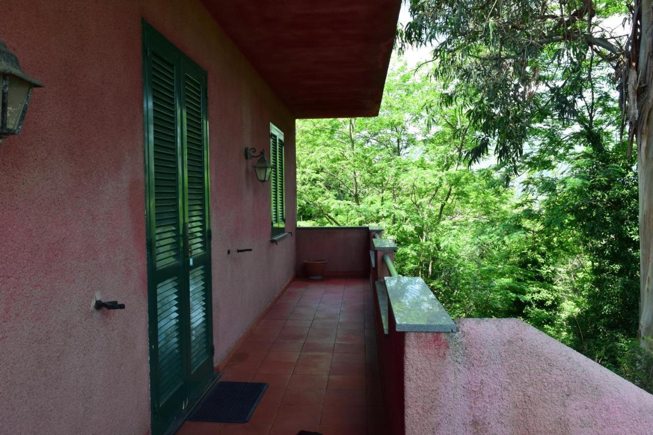 Il Giardino Selvatico Di Succellario - Apartments Barano d'Ischia Luaran gambar